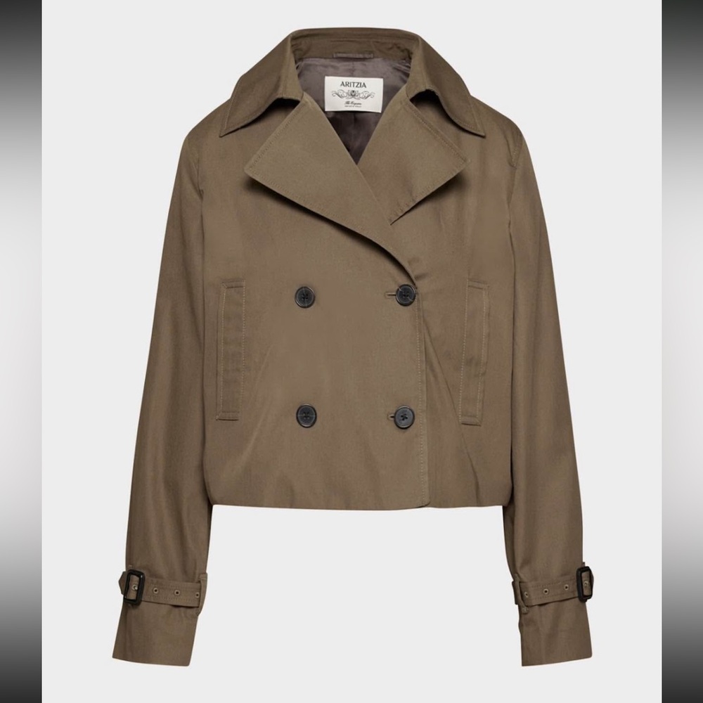 Aritzia Esquire Trench Coat